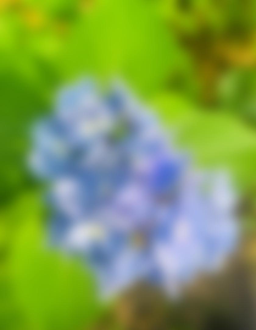 タイトル