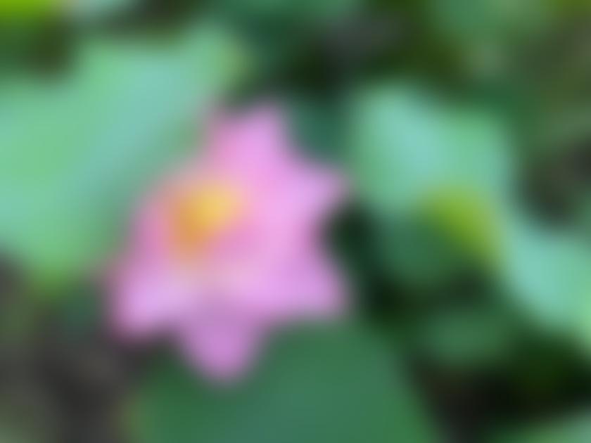 タイトル