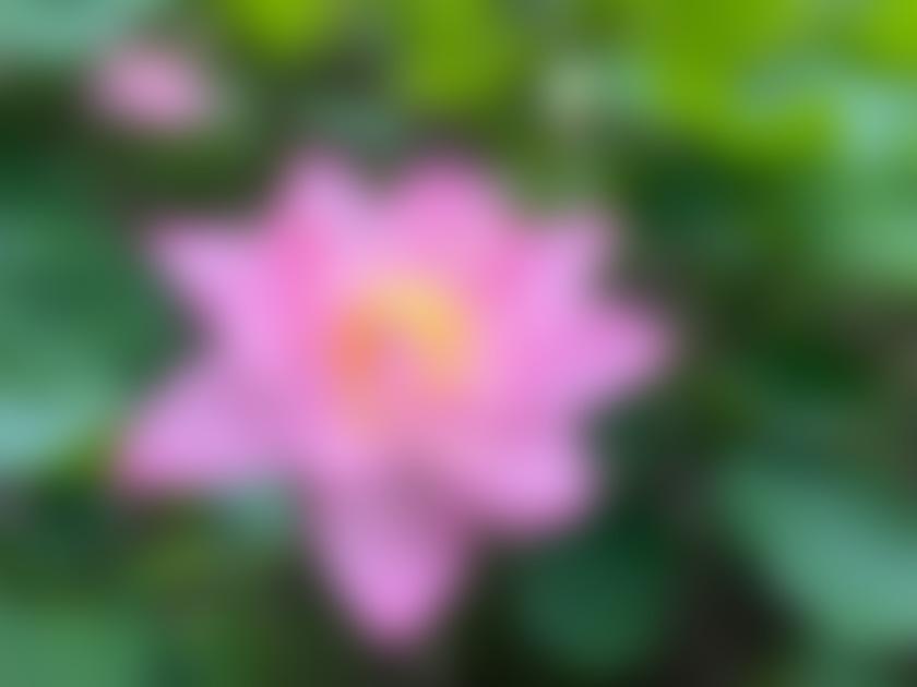タイトル