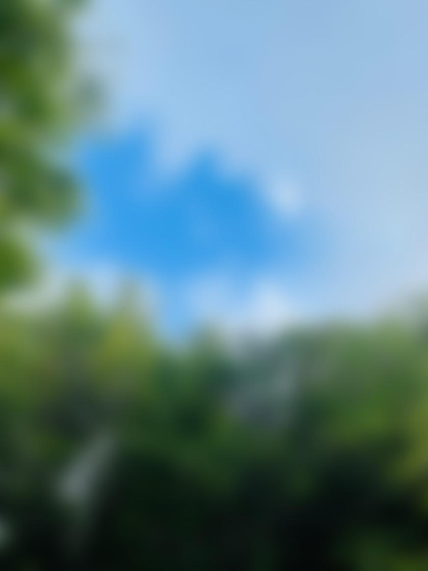 タイトル