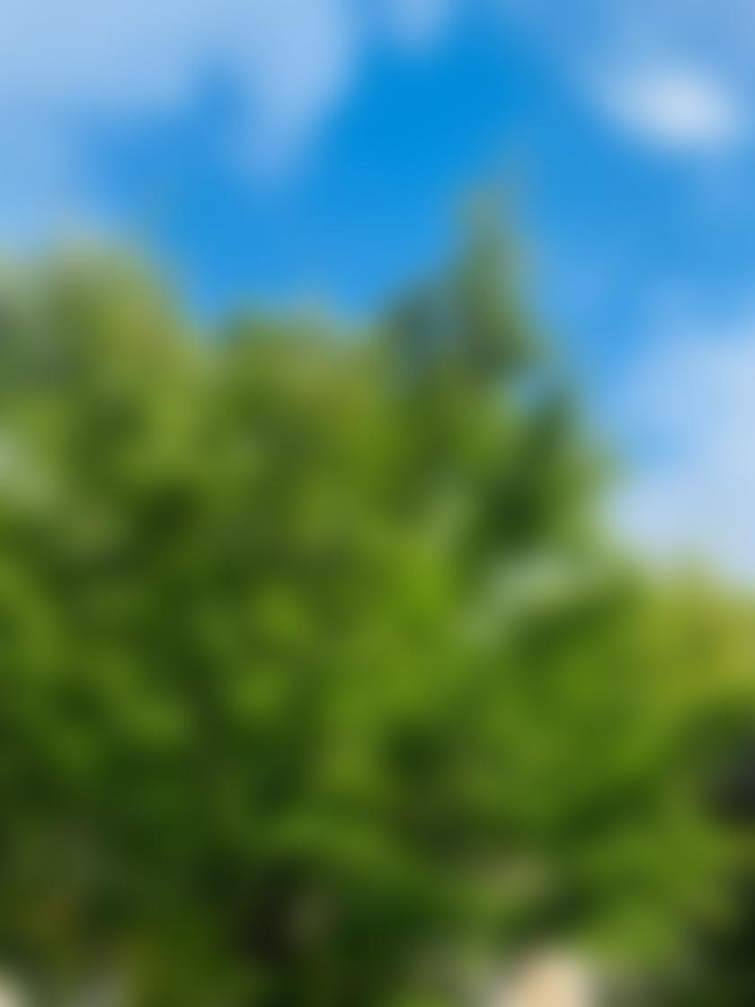 タイトル