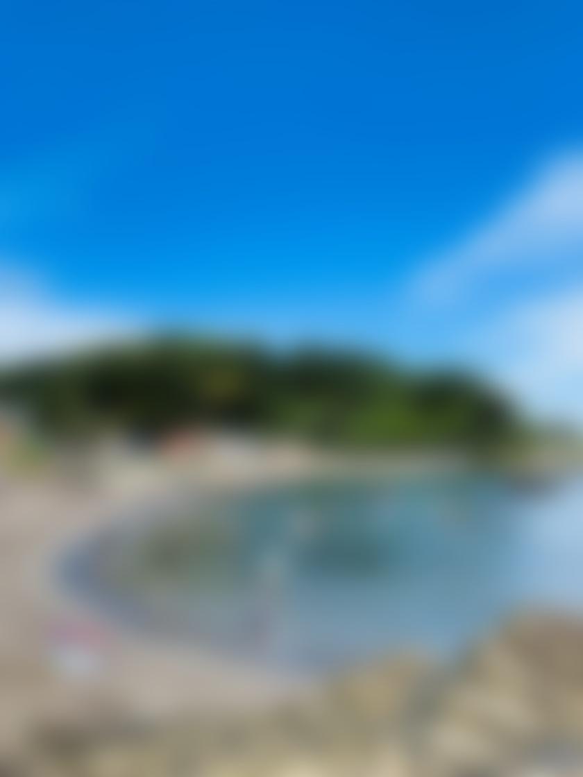 タイトル
