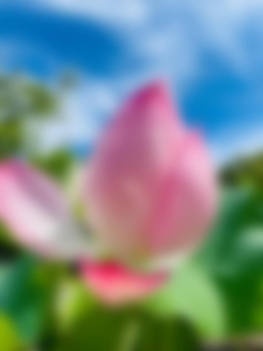 タイトル