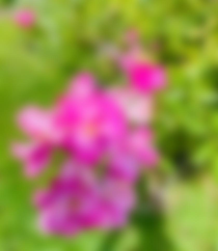 タイトル