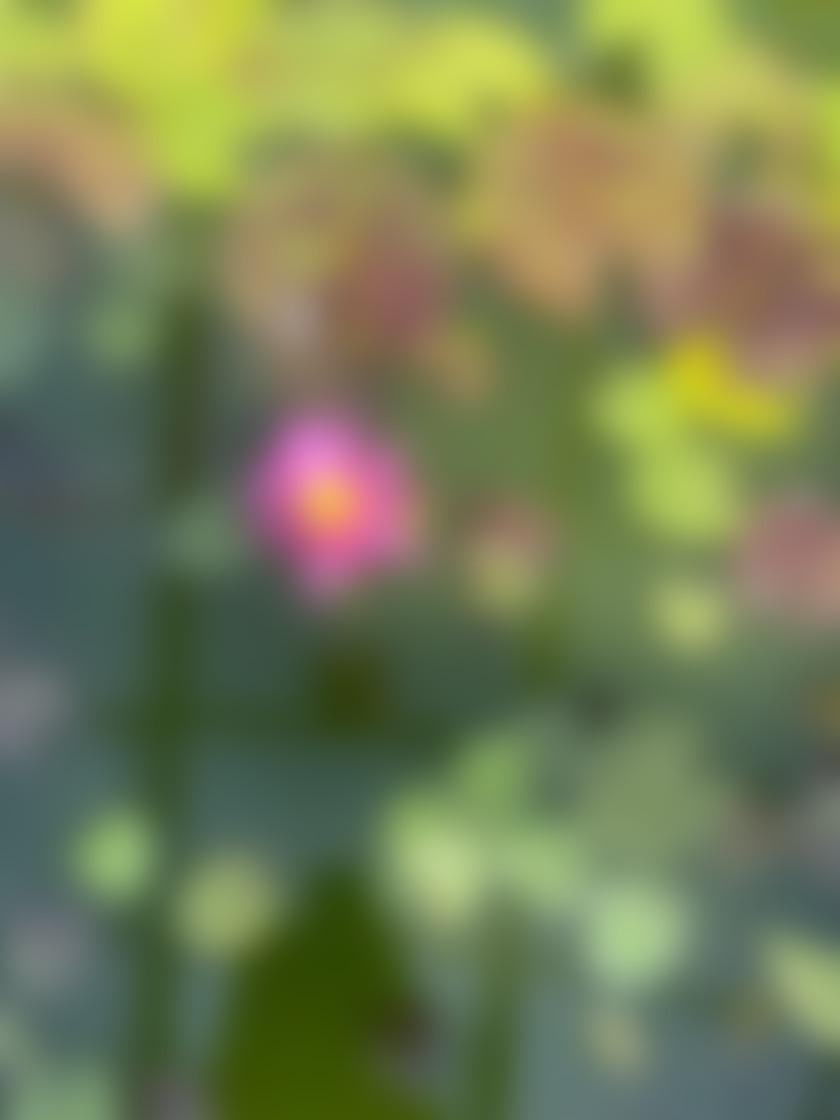 タイトル