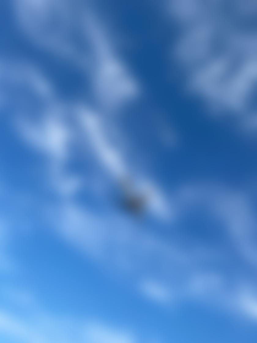 タイトル