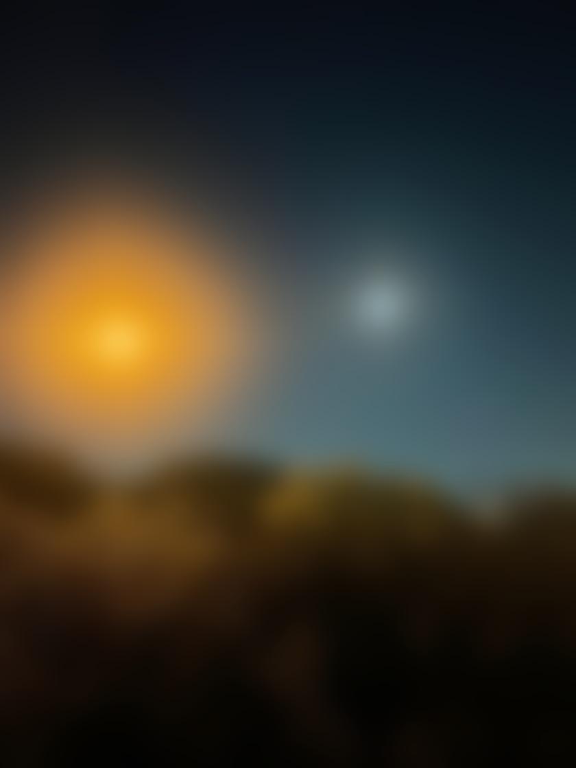 タイトル