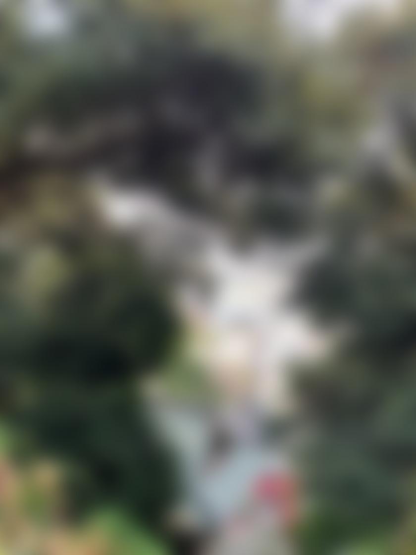 タイトル