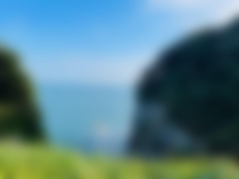 タイトル