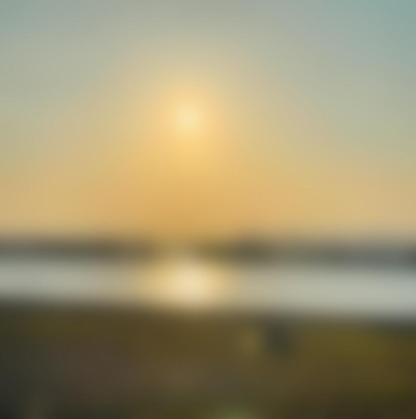 タイトル