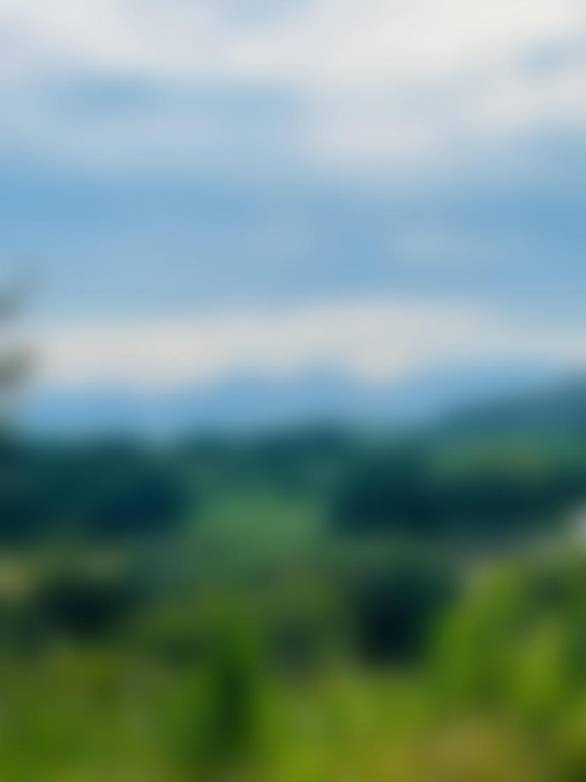 タイトル