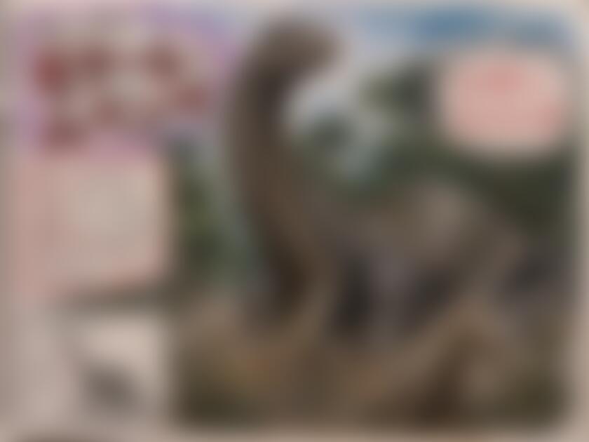 タイトル