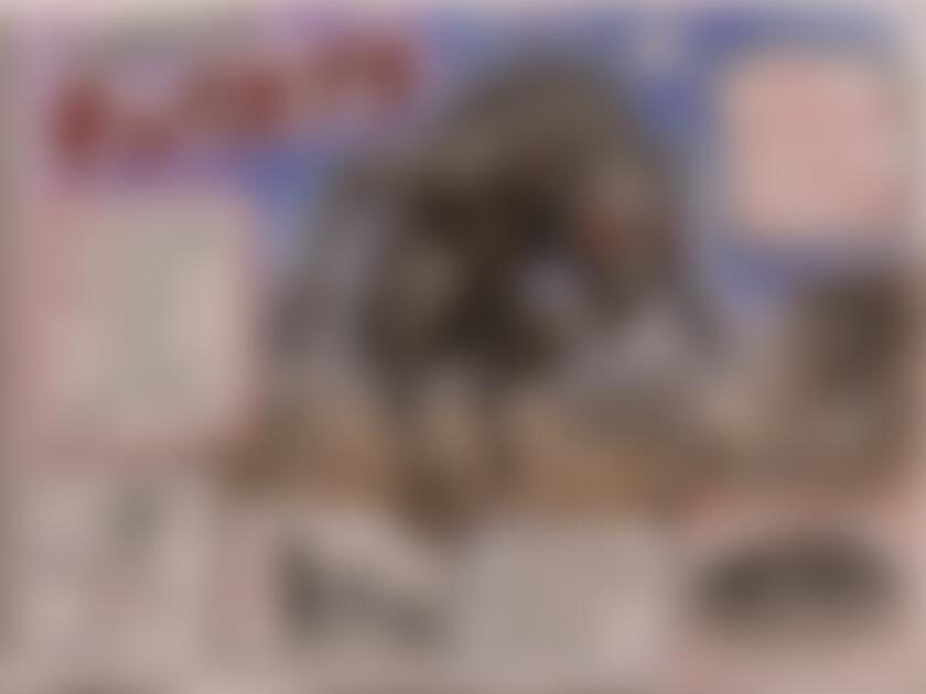 タイトル