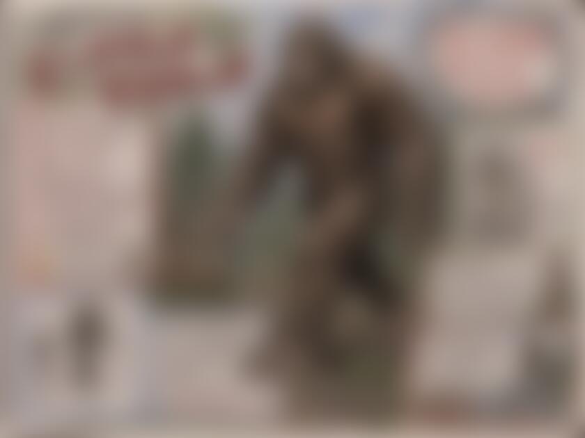 タイトル