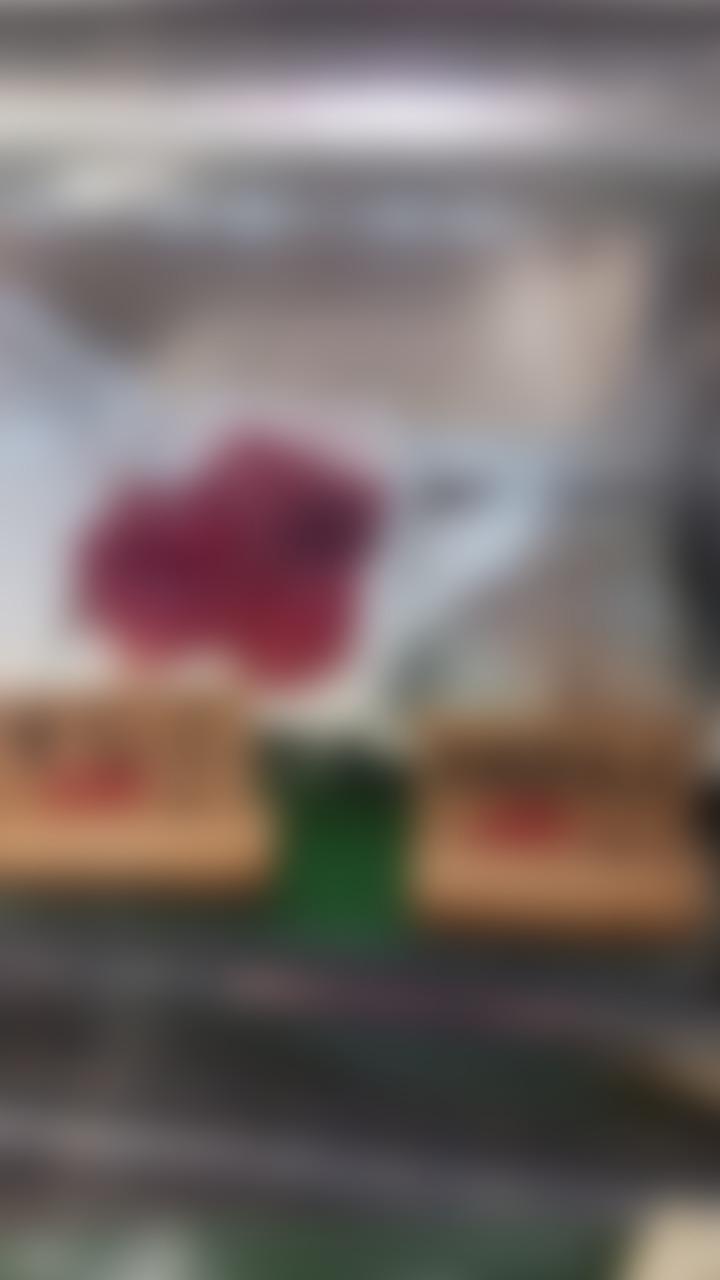 タイトル