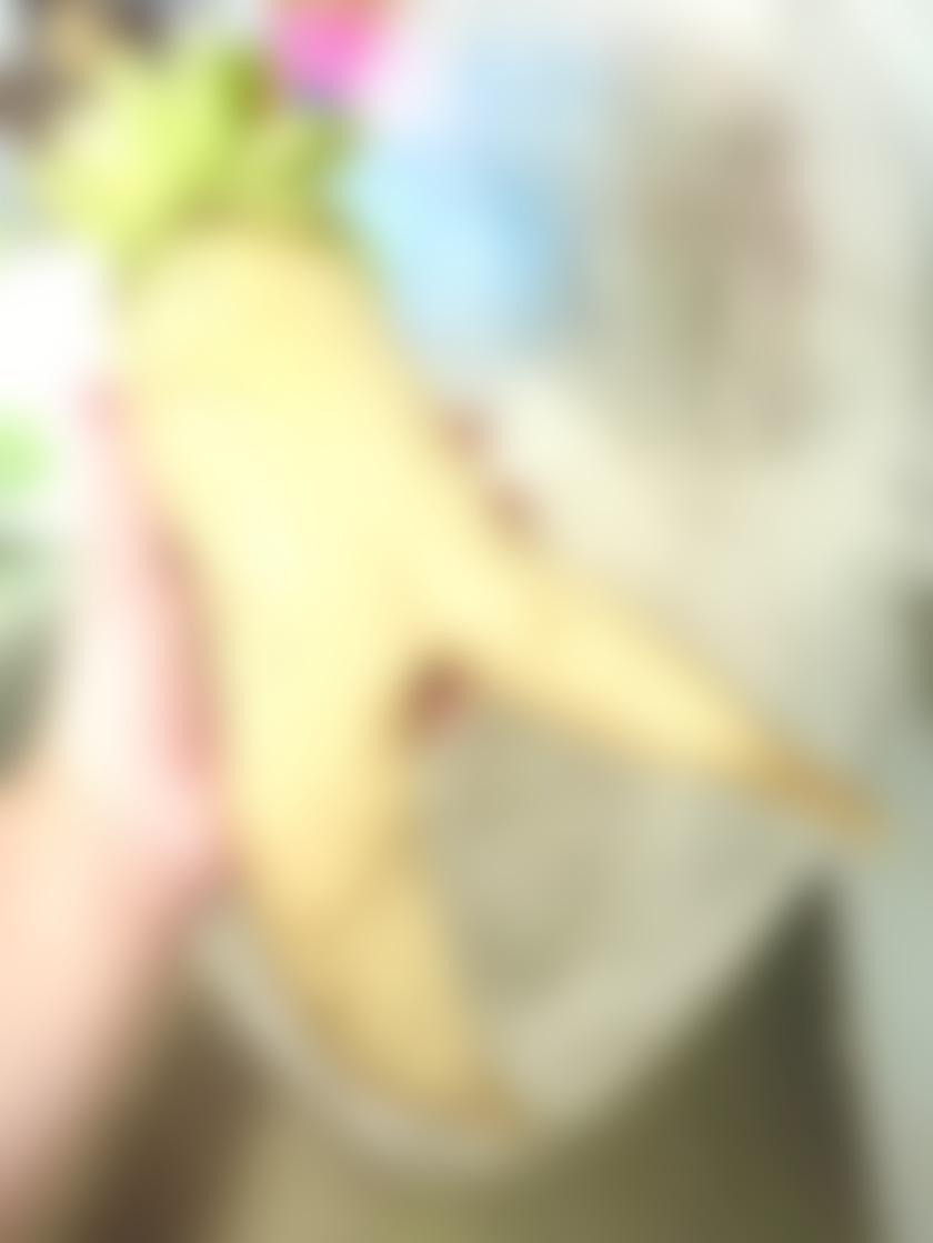 タイトル