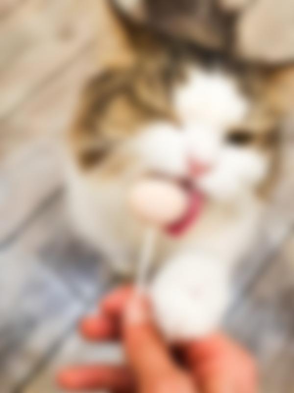 タイトル