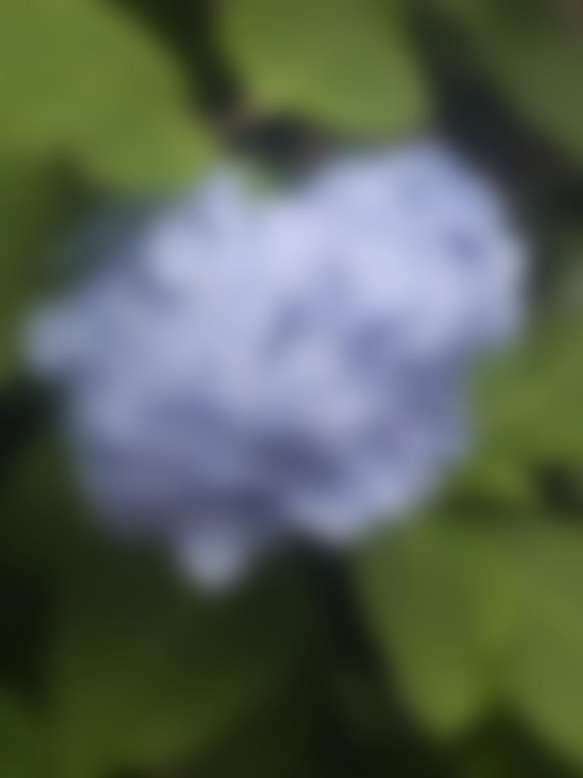 タイトル