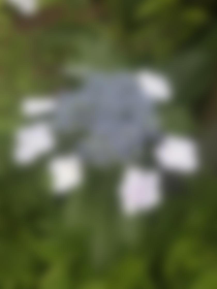 タイトル