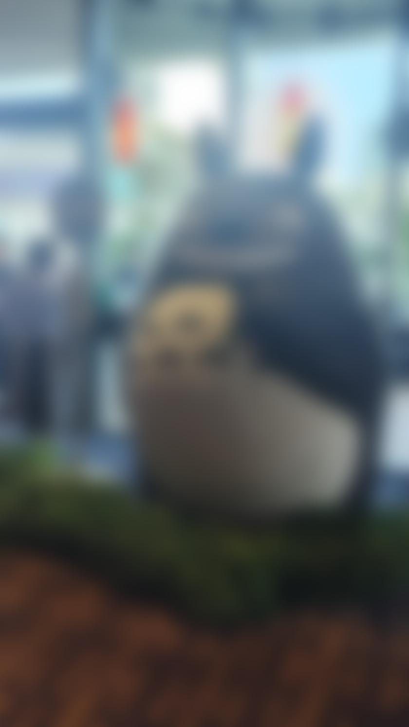 タイトル