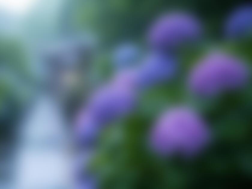 タイトル