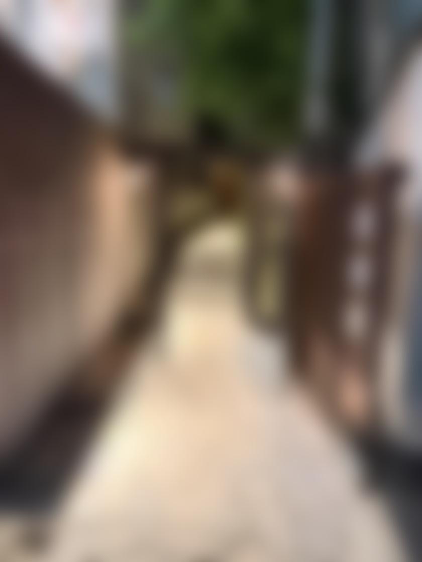 タイトル
