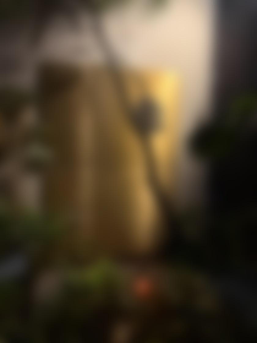 タイトル
