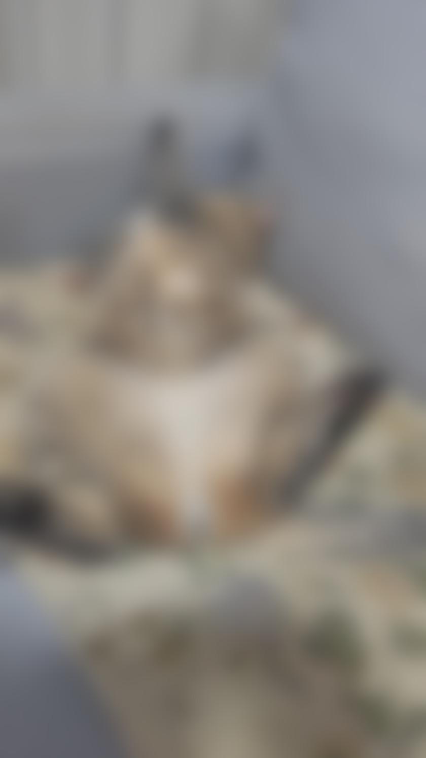 タイトル