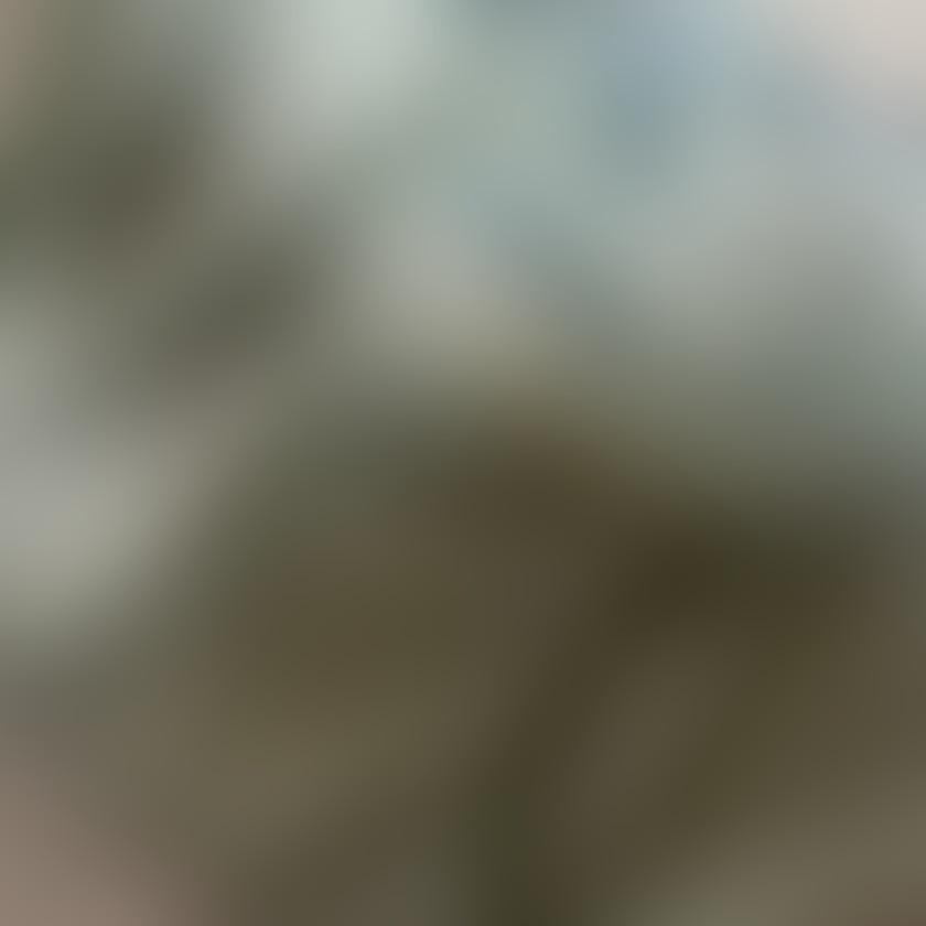 ちい801