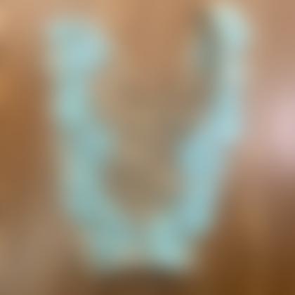 一日中はいたレースパンツ