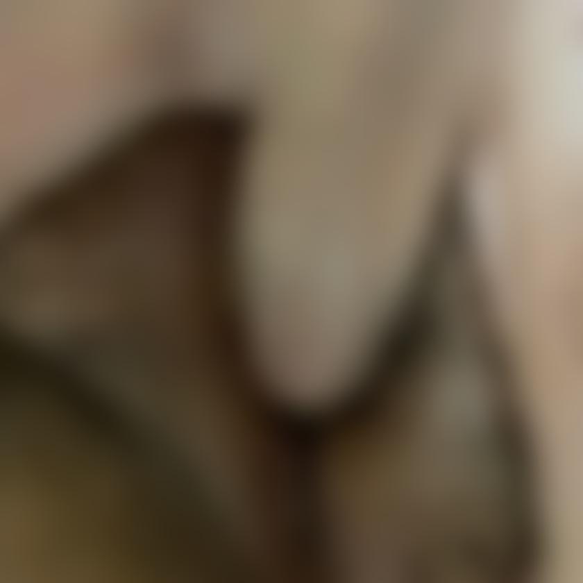 入っちゃいました…